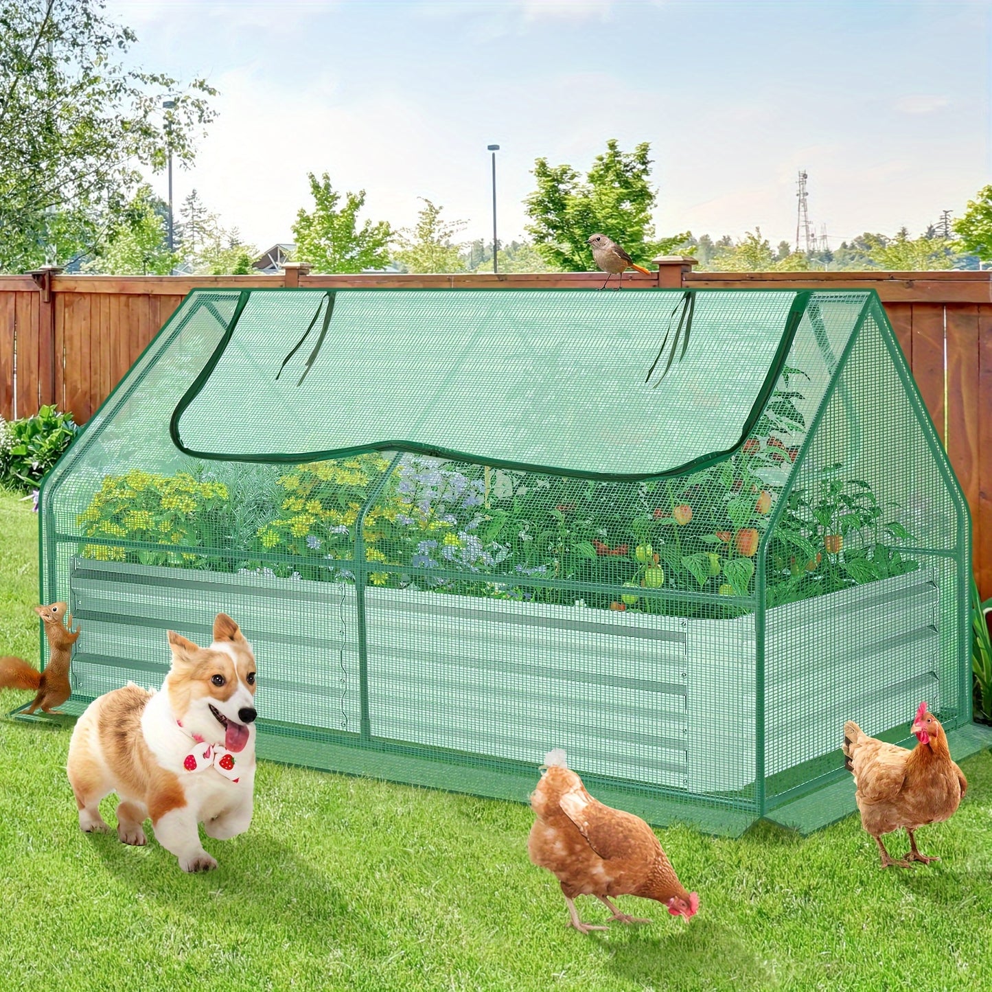 Galvanized Raised Garden Bed with Cover, 6x3x3ft, Outdoor Metal Planter Box 2 Roll-Up Windows Mini Greenhouse for Growing Flowers Fruits Vegetables and Herbs - Green & Transparent
