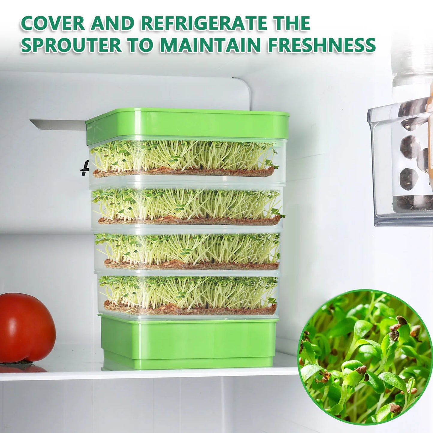 Seed Sprouting Kits Versatile Sprouts Grower Indoor Gardening Plant Germination Trays for Broccoli Alfalfa Seeds Wheat