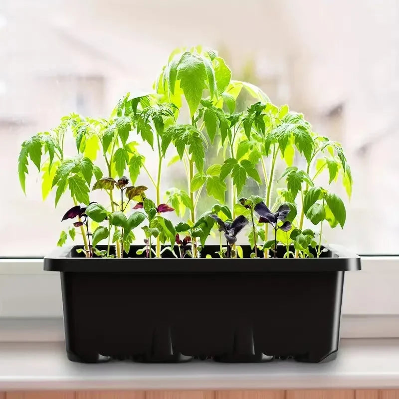 Mighty Start - Mini greenhouse for seed germination