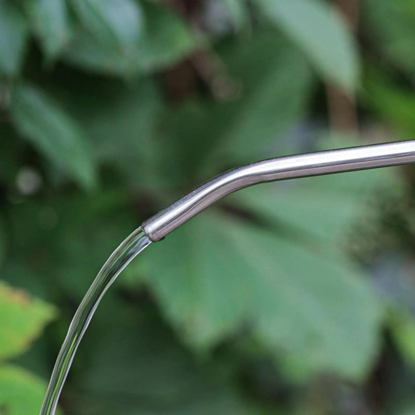 2L Long Spout Flower Watering Pot