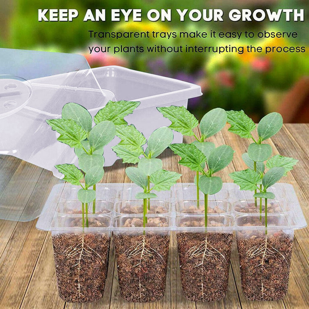 12 Hole Plant Seed Grow Box Nursery Seedling Starter