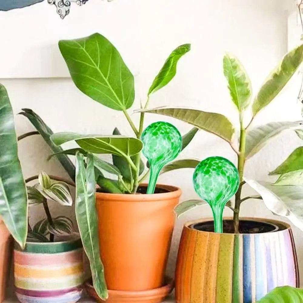 Automatic Plant Watering Globe
