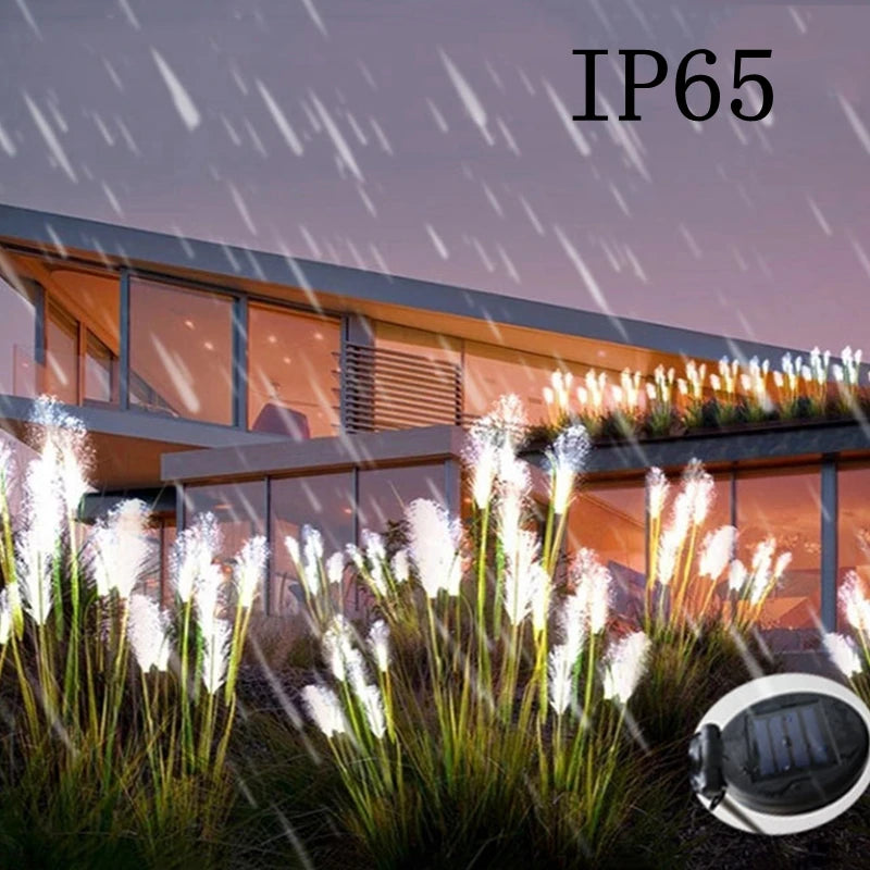 Solar Garden Landscape Lights