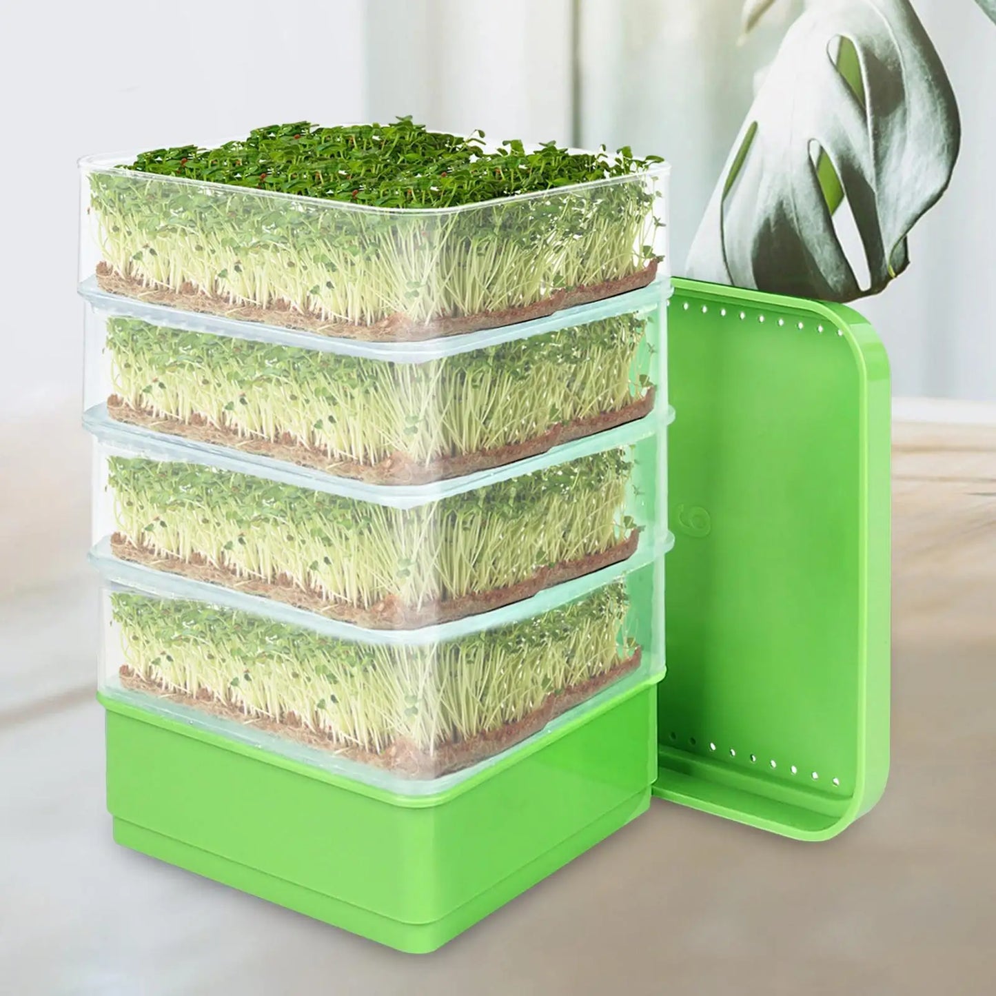 Seed Sprouting Kits Versatile Sprouts Grower Indoor Gardening Plant Germination Trays for Broccoli Alfalfa Seeds Wheat