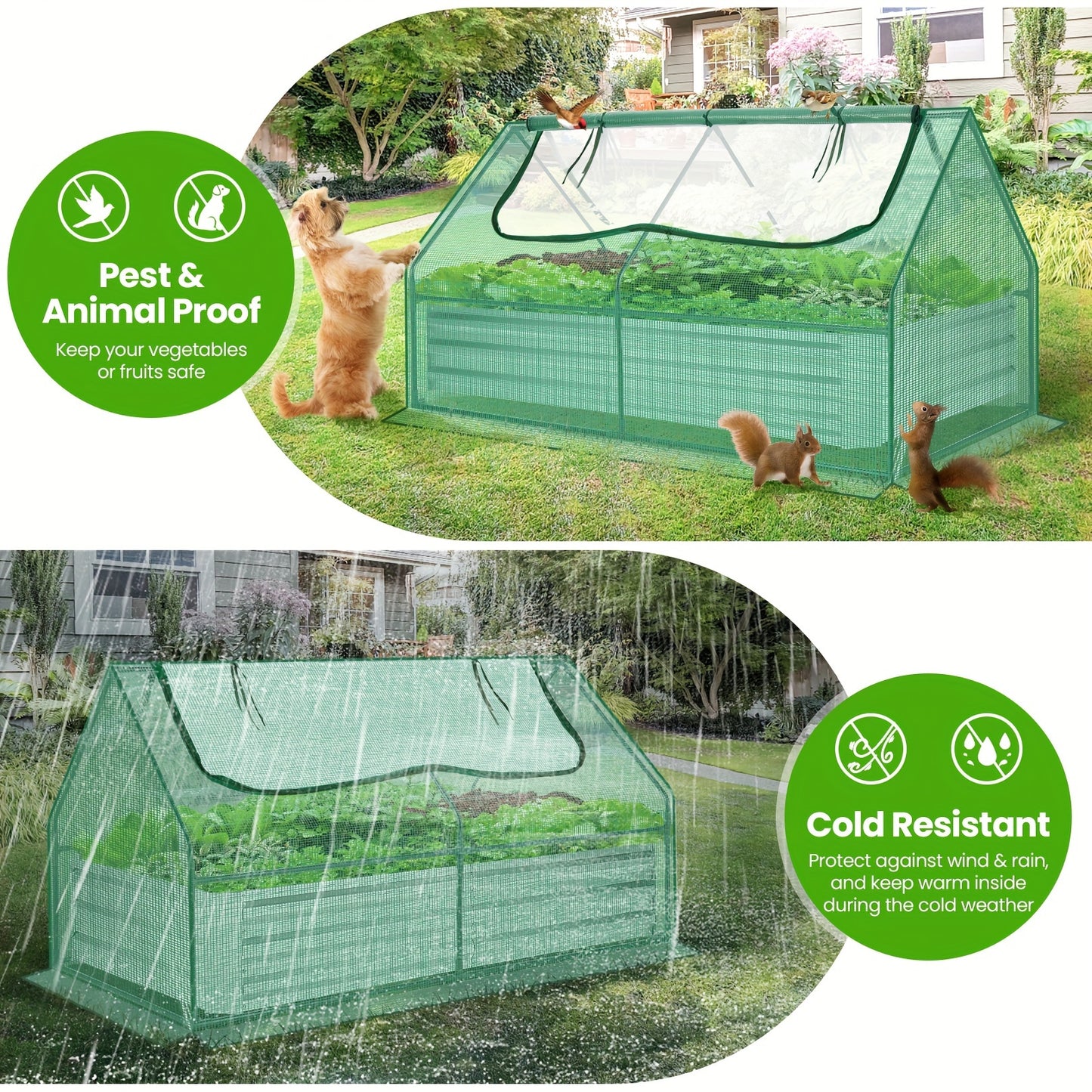 Galvanized Raised Garden Bed with Cover, 6x3x3ft, Outdoor Metal Planter Box 2 Roll-Up Windows Mini Greenhouse for Growing Flowers Fruits Vegetables and Herbs - Green & Transparent